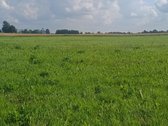 Parduodama Sodybavietė Su 8,81 Ha Žemės – - nuotraukos Nr. 8