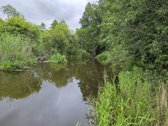 Parduodami žemės ūkio paskirties sklypai - nuotraukos Nr. 3