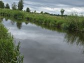 Parduodami žemės ūkio paskirties sklypai - nuotraukos Nr. 11