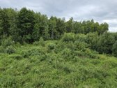 Parduodami žemės ūkio paskirties sklypai - nuotraukos Nr. 29