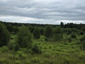 Parduodami žemės ūkio paskirties sklypai - nuotraukos Nr. 7