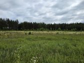 Parduodami žemės ūkio paskirties sklypai - nuotraukos Nr. 30