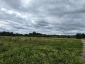Parduodami žemės ūkio paskirties sklypai - nuotraukos Nr. 33