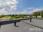 Verta Žinoti - nuotraukos Nr. 20