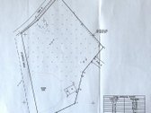 Kaišiadorių Raj., Rumšiškių Sen., Dovainonių - nuotraukos Nr. 4