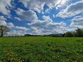 Puikus Pasiūlymas Nuolatiniam Gyvenimui Ar - nuotraukos Nr. 30
