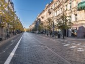 Išnuomojamas 2 kambarių šviesus bei jaukus - nuotraukos Nr. 23