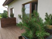 Parduodamas Išskirtinis Restoranas-motelis - nuotraukos Nr. 73