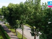 Šiaulių Miesto Centrinėje Dalyje, Vytauto G. - nuotraukos Nr. 13