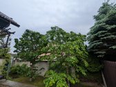 Parduodamas 369,72 Kv. M Šeimos Namas - nuotraukos Nr. 41
