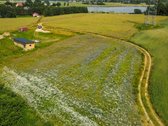 Parduodamas namų valdos sklypas ežerų apsuptyje! - nuotraukos Nr. 11