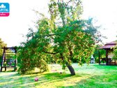 Parduodamas Jaukus Ir Itin Prižiūrėtas 26 Arų - nuotraukos Nr. 11