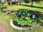 Parduodamas dviejų aukštų mūrinis renovuotas - nuotraukos Nr. 22