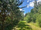Sklypas šalia pušyno. Parduodama Viduklės sen - nuotraukos Nr. 8