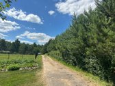 Sklypas šalia pušyno. Parduodama Viduklės sen - nuotraukos Nr. 9