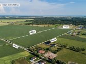Radailiai – viena patraukliausių Klaipėdos - nuotraukos Nr. 2