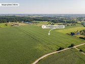 Radailiai – viena patraukliausių Klaipėdos - nuotraukos Nr. 4