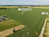 Radailiai – viena patraukliausių Klaipėdos - nuotraukos Nr. 6