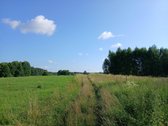 Žemės ūkio paskirties sklypas Arnionyse, - nuotraukos Nr. 4