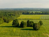 Parduodama sena sodyba su 2,5 ha žemės sklypu - nuotraukos Nr. 3
