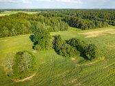 Parduodama sena sodyba su 2,5 ha žemės sklypu - nuotraukos Nr. 5