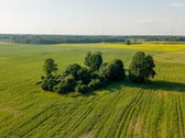 Parduodama sena sodyba su 2,5 ha žemės sklypu - nuotraukos Nr. 8
