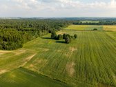 Parduodama sena sodyba su 2,5 ha žemės sklypu - nuotraukos Nr. 9