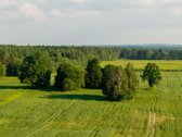Parduodama sena sodyba su 2,5 ha žemės sklypu - nuotraukos Nr. 10