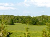 Parduodama sena sodyba su 2,5 ha žemės sklypu - nuotraukos Nr. 13