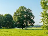 Parduodama sena sodyba su 2,5 ha žemės sklypu - nuotraukos Nr. 17