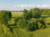 Parduodama sena sodyba su 2,5 ha žemės sklypu - nuotraukos Nr. 20