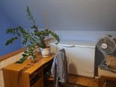 Tame pačiame sklype yra namas kuris yra - nuotraukos Nr. 22