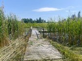 Erdvus Sklypas Su Dideliu Tvenkiniu, Pirtimi - nuotraukos Nr. 10
