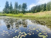 Erdvus Sklypas Su Dideliu Tvenkiniu, Pirtimi - nuotraukos Nr. 15