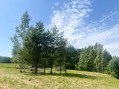 Erdvus Sklypas Su Dideliu Tvenkiniu, Pirtimi - nuotraukos Nr. 18