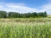 Erdvus Sklypas Su Dideliu Tvenkiniu, Pirtimi - nuotraukos Nr. 23
