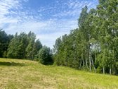 Erdvus Sklypas Su Dideliu Tvenkiniu, Pirtimi - nuotraukos Nr. 25