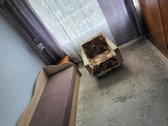 Dviejų kambarių butas ilgalaikei nuomai - nuotraukos Nr. 2