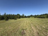 Parduodamas 10,50 arų namų valdos sklypas - nuotraukos Nr. 3