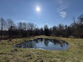 Parduodama jauki sodyba Širvintų rajone, - nuotraukos Nr. 3