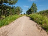 Namų valdos sklypas Zujūnuose – gyvenkite - nuotraukos Nr. 10