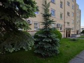 Kaune, Pašilės Gatvėje Nuomojamas Jaukus 3 - nuotraukos Nr. 15