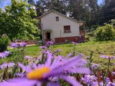 Parduodamas Erdvus Sodo Sklypas Su Dviem Sodo - nuotraukos Nr. 3
