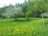 Parduodamas išskirtinis vienkiemis Gerkonyse, - nuotraukos Nr. 7