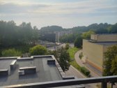 Po kapitalinio remonto išnuomojamas šviesus, - nuotraukos Nr. 9