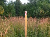 Parduodamas 10,65 arų ploto žemės sklypas - nuotraukos Nr. 10