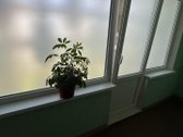 Parduodamas šviesus 2 kambarių butas - nuotraukos Nr. 22