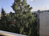 Išnuomojamas moderniai suremontuotas, - nuotraukos Nr. 18