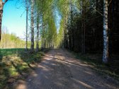 Yra Leidimas Statyti Namą Ir Kitus Sodybos - nuotraukos Nr. 8