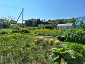 Palangoje, SB ''Būtingė'' parduodamas 6 arų - nuotraukos Nr. 11